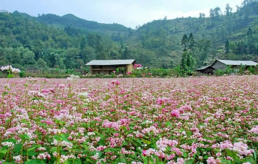 voyage-ha-giang-moto