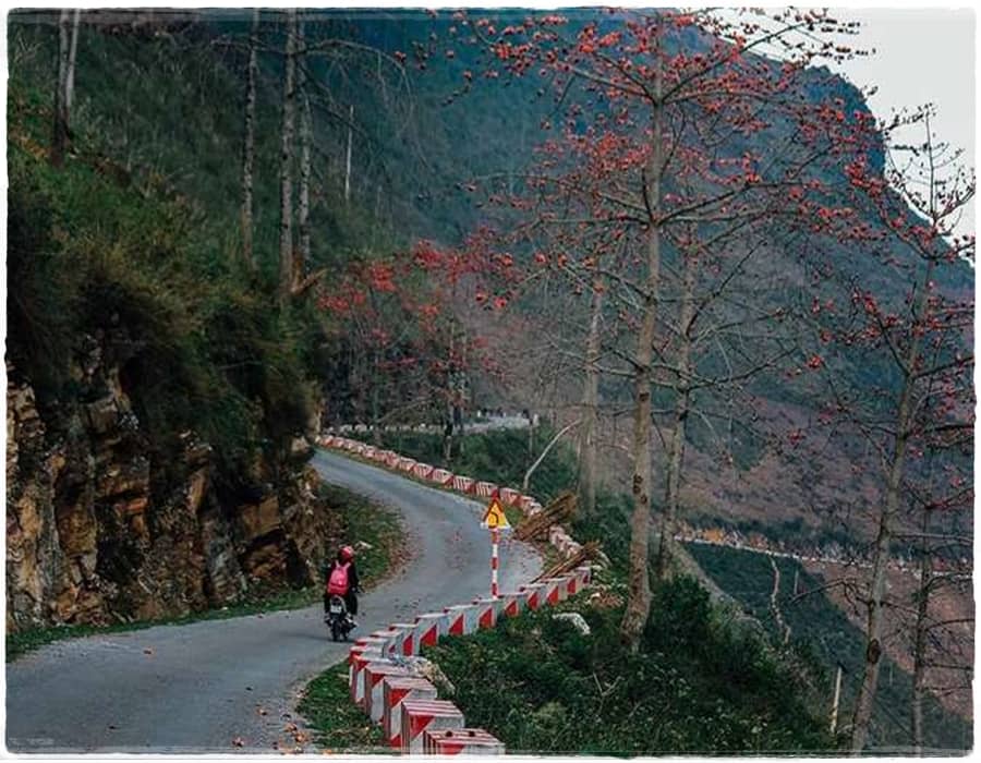tour-du-lich-du-gia-ha-giang