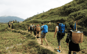 Ha Giang or Sapa if you only have two days
