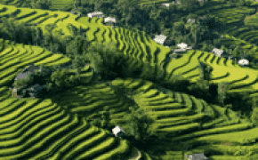 Hoang Su Phi Travel Guide