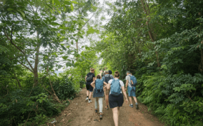 Cuộc sống trên bản Hoàng Su Phì