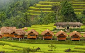 The list of homestays in Hoang Su Phi