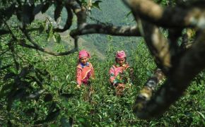 The best time to travel to Ha Giang and Sapa