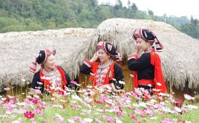 Visit Ha Giang in January - the season of blossom