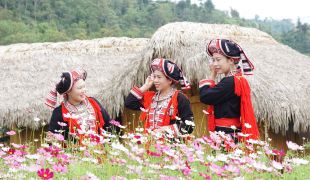 voyage à Hà Giang pour contempler les fleurs colorées